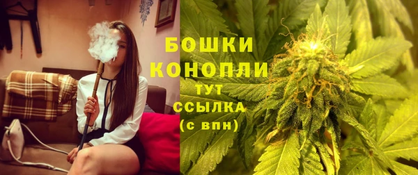 PSILOCYBIN Богородск